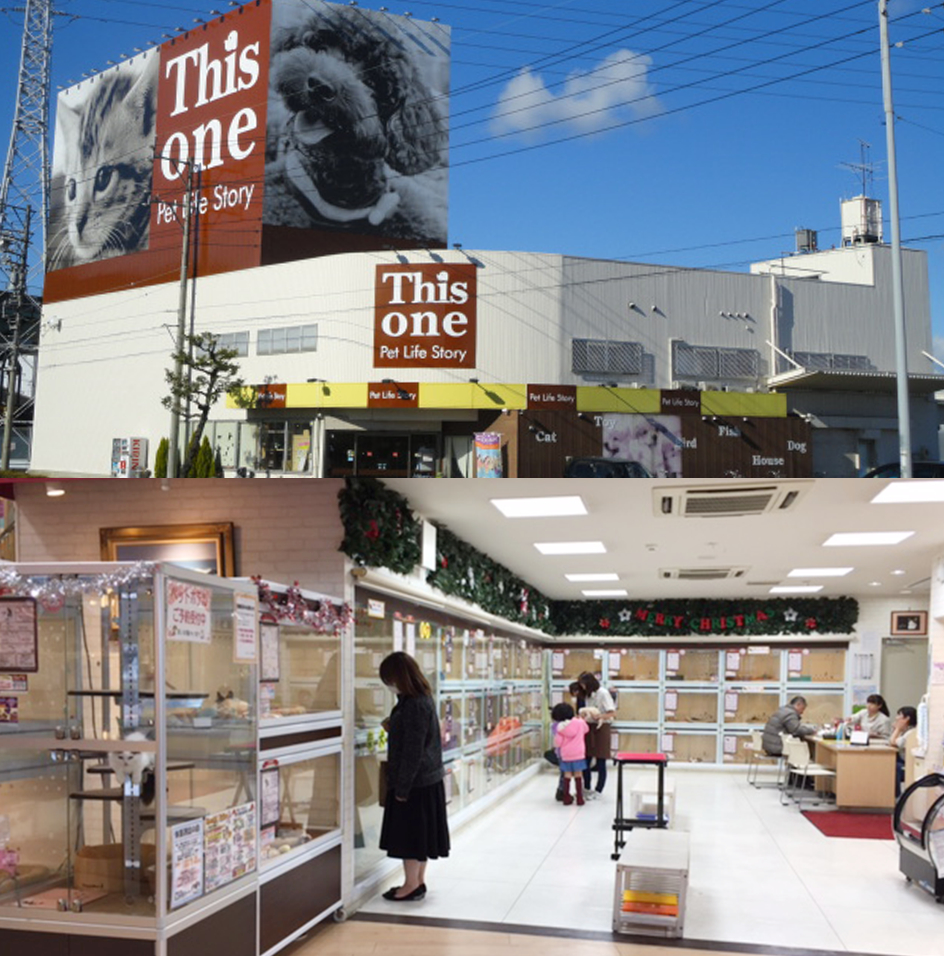 ロードサイド店舗