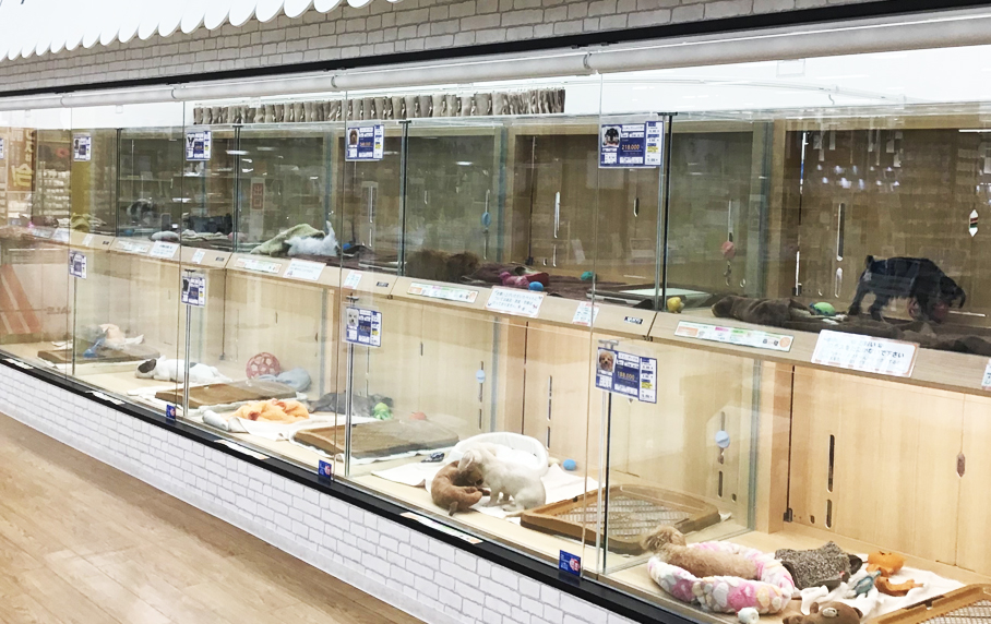 店内イメージ